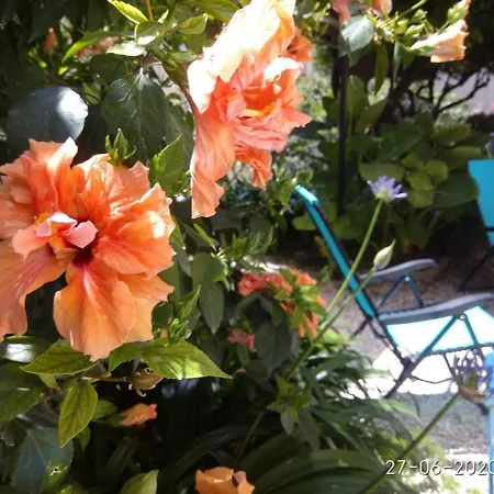 Duplex Oasis Avec Jardin Dans Vieille מנטון