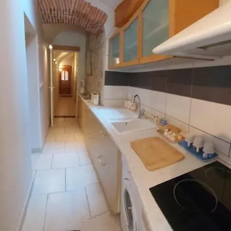 Duplex Oasis Avec Jardin Dans Vieille アパート